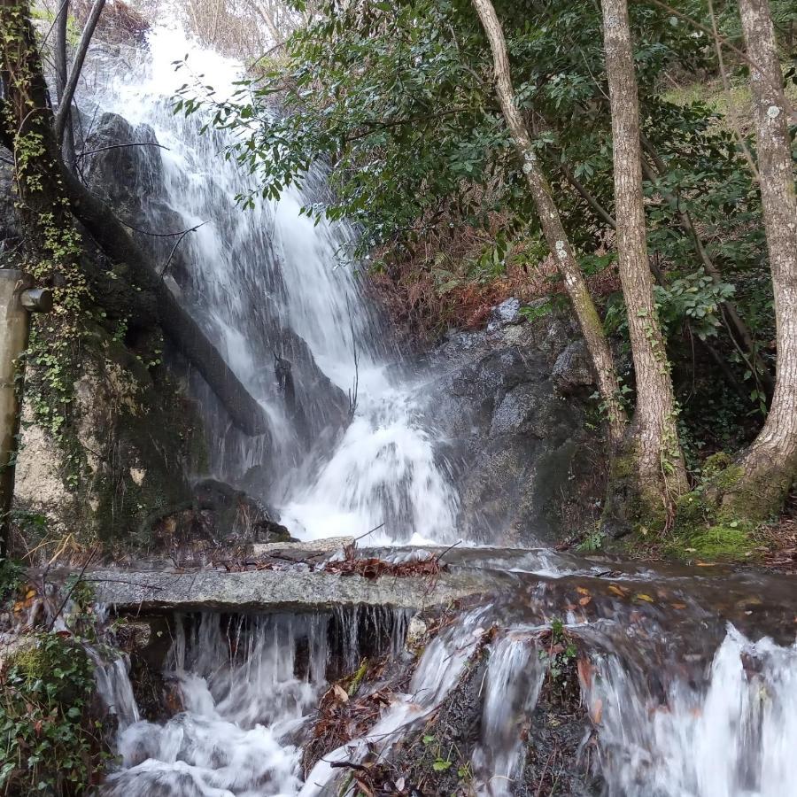 Casa Silvosa Βίλα Tomiño Εξωτερικό φωτογραφία
